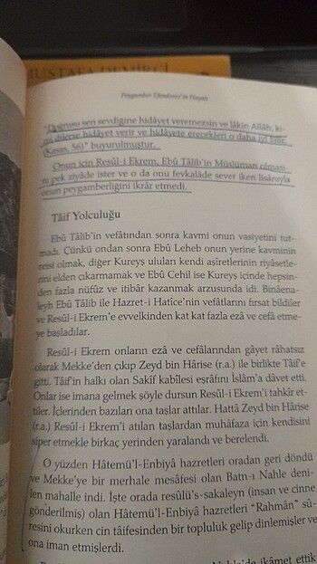 Ahmet Cevdet Paşa Peygamberimizin Hayatı Siyer