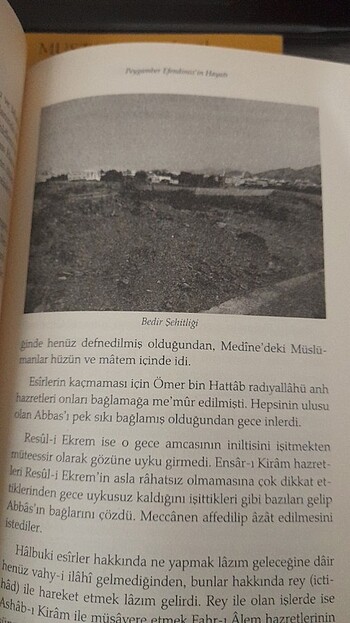 Beden Renk Ahmet Cevdet Paşa Peygamberimizin Hayatı Siyer