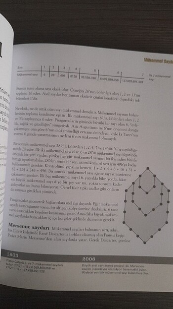 Beden 50 Matematik Fikri