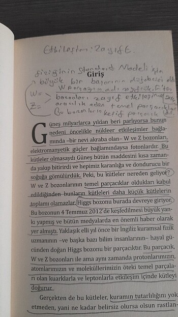  Beden Renk Higgs Bozonu