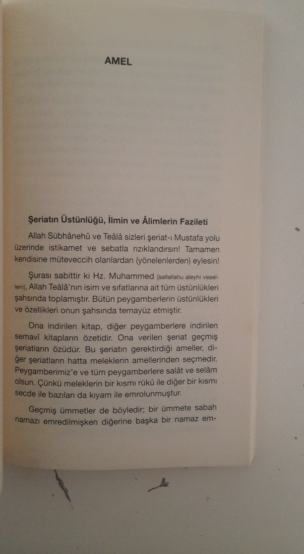 Rabbani Nasihatler - İmam Rabbani - Görsel 2