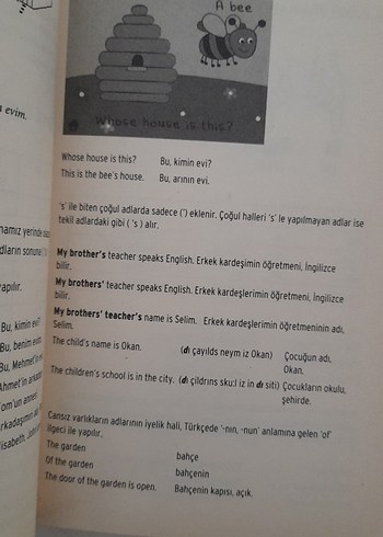 İngilizce Dil Bilgisi - Görsel 3