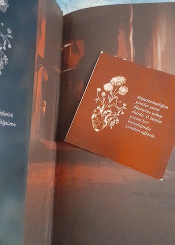 45. Durak - Büşra Nur - Görsel 2