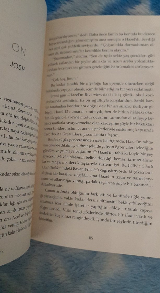 Josh ve Hazel'in Sevgili Olmama Rehberi - Görsel 4