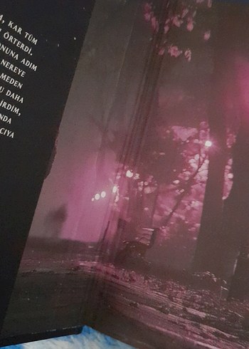 Kalbe Saplanan Ok- Ebru Işık - Görsel 2