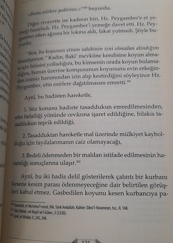 Aynî'nin Hadis Usulünü Ele Alışı - Osman Nedim Yektar