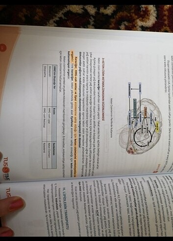 TUSTİME BİYOKİMYA KOMİTE YARDIMCI KİTAP - Görsel 4