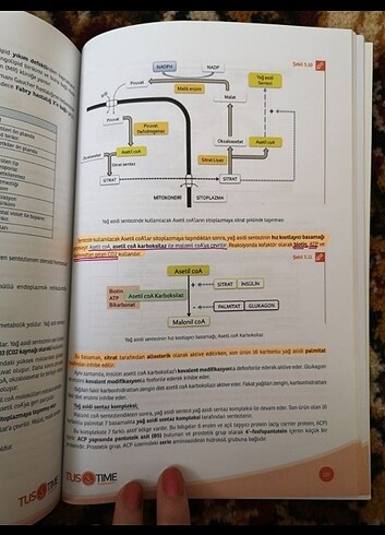 TUSTİME BİYOKİMYA KOMİTE YARDIMCI KİTAP - Görsel 5