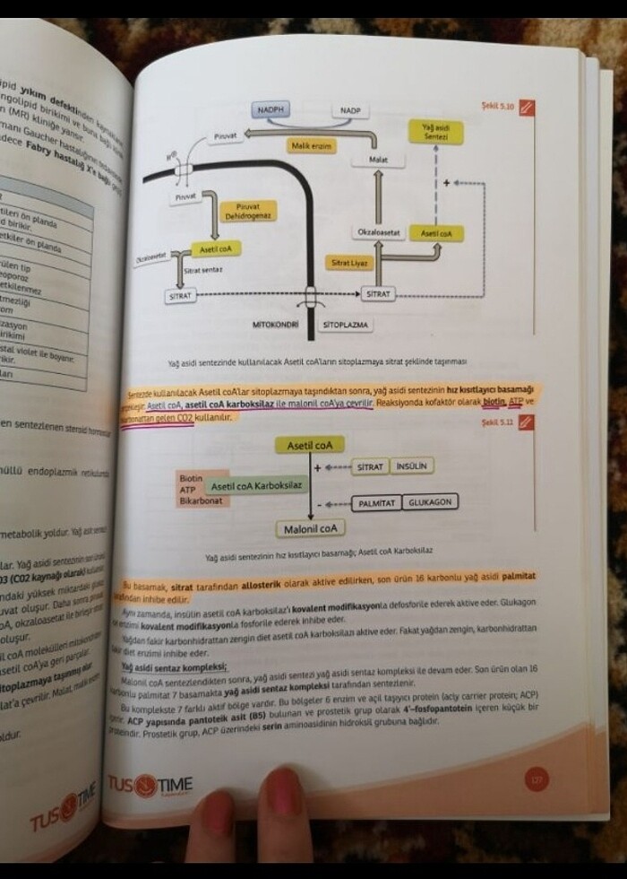 TUSTİME BİYOKİMYA KOMİTE YARDIMCI KİTAP - Görsel 5
