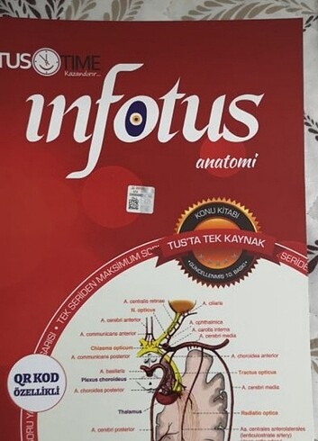 İnfotus Anatomi