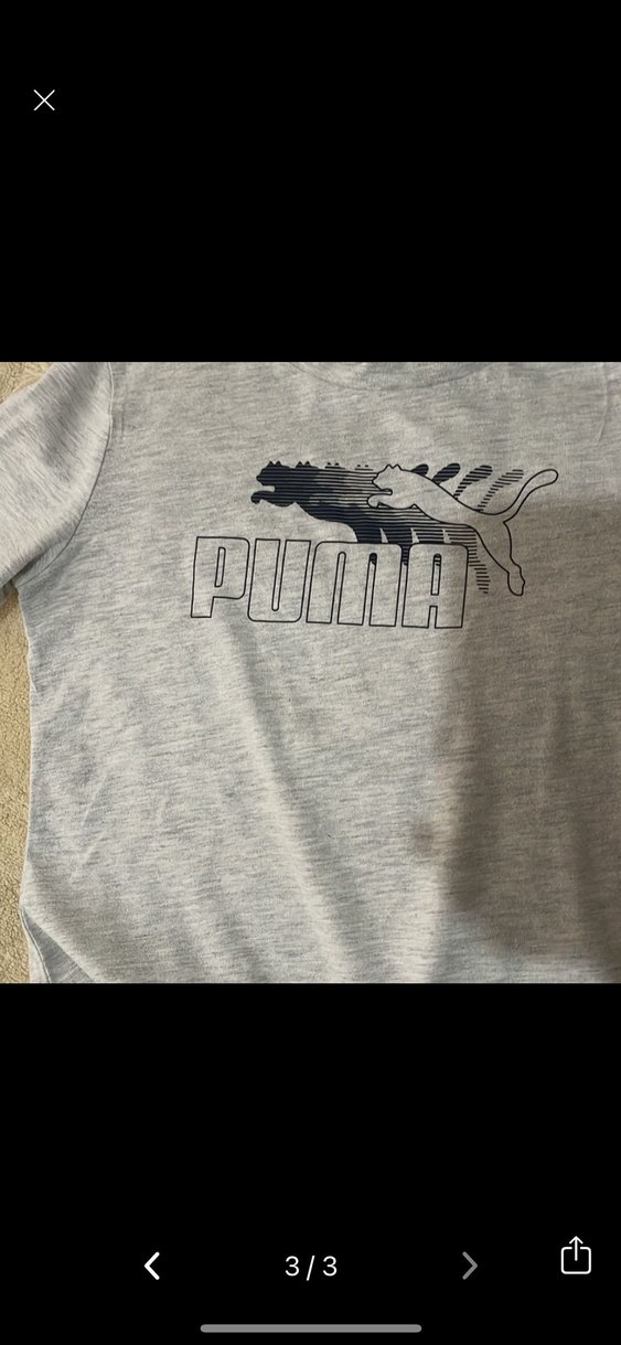 Gri Puma Baskılı Erkek Tişört - Görsel 3