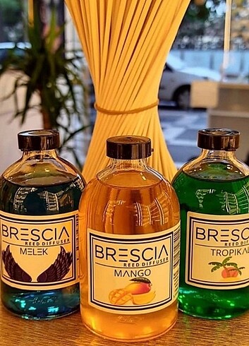 Brescia oda kokulari mango ve tropikal 
