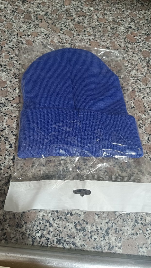 Mavi Polar Bere - Görsel 2