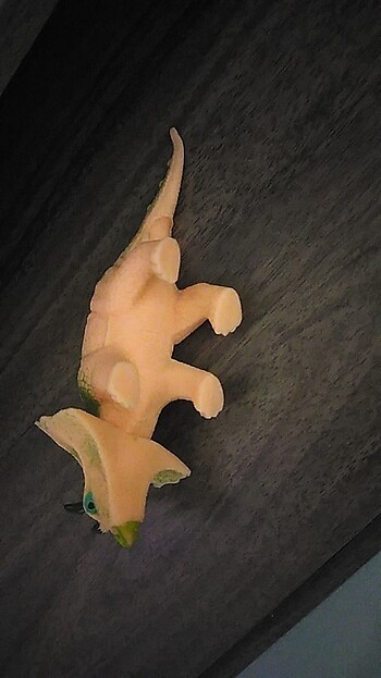 Dinozor ???? - Görsel 2