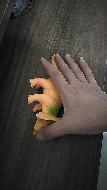 Dinozor ???? - Görsel 5