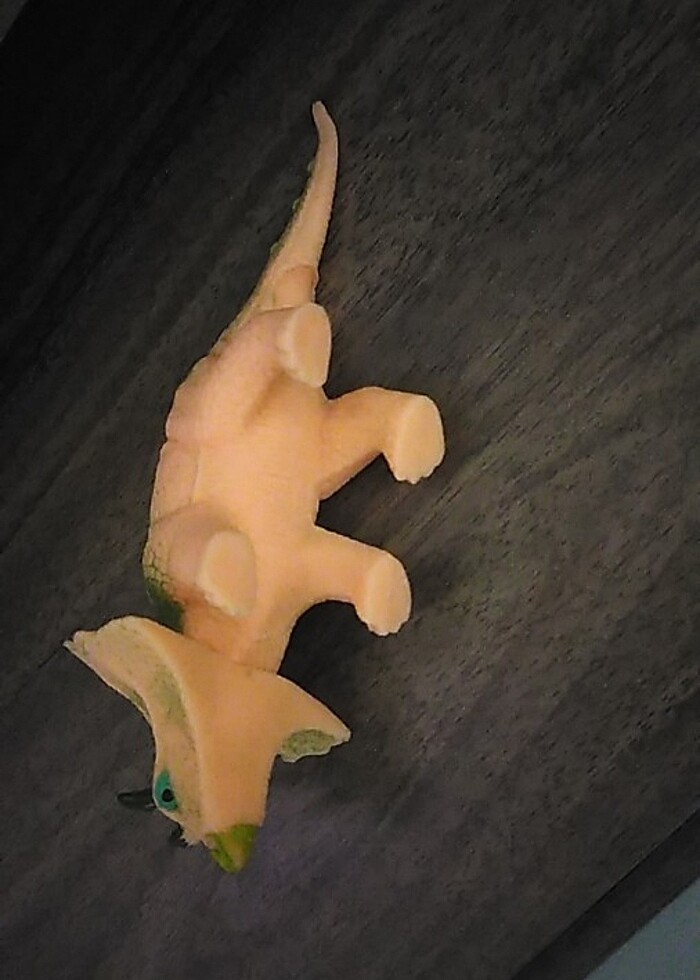 Dinozor ????  - Görsel 2