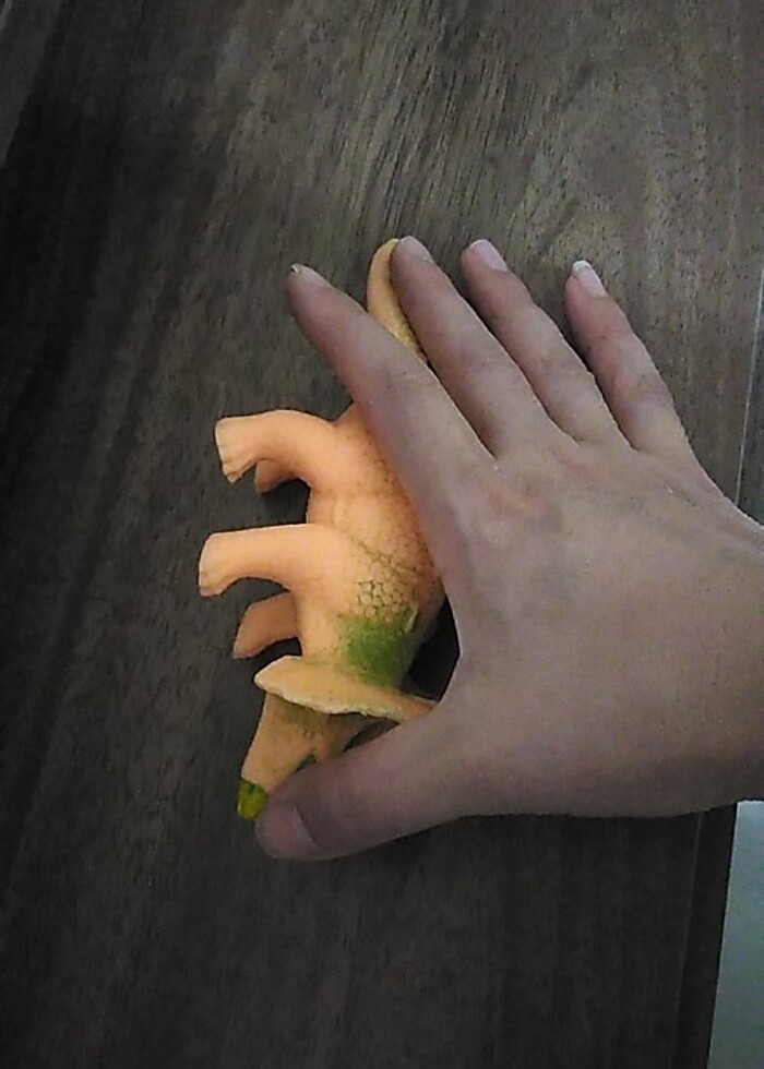 Dinozor ????  - Görsel 5