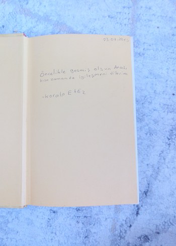 Saftirik Greg'in Günlüğü: İşte Şimdi Yandık - Görsel 2