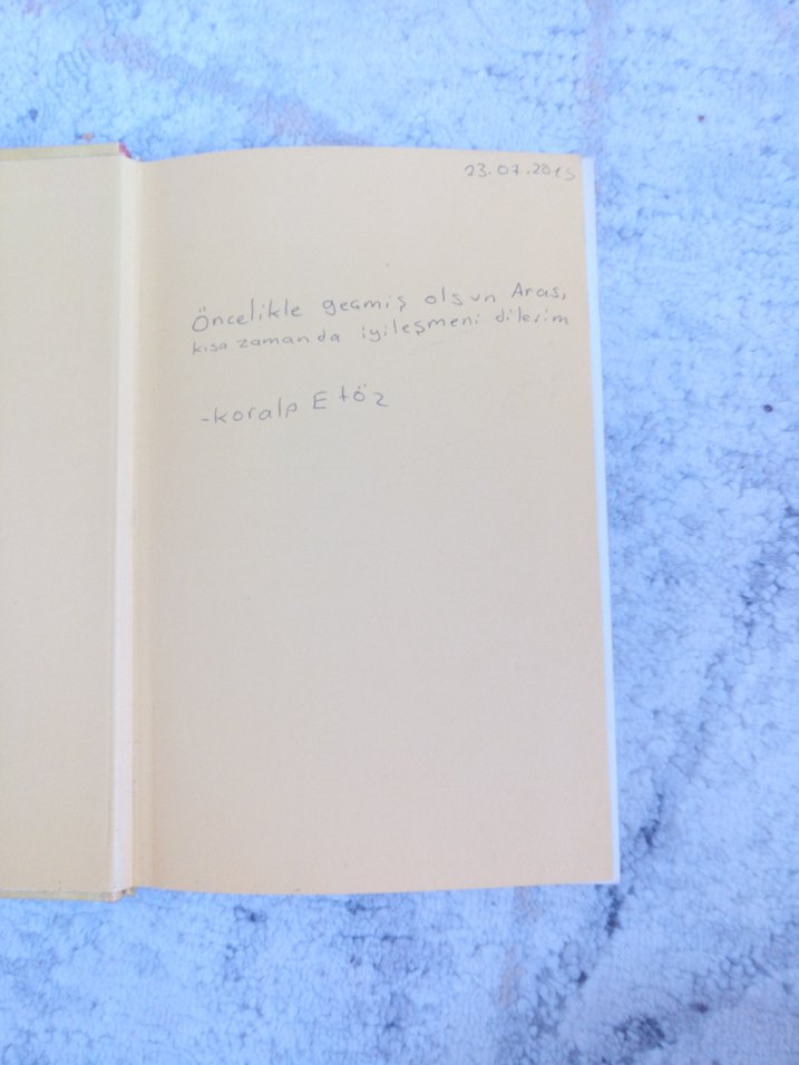 Saftirik Greg'in Günlüğü: İşte Şimdi Yandık - Görsel 2