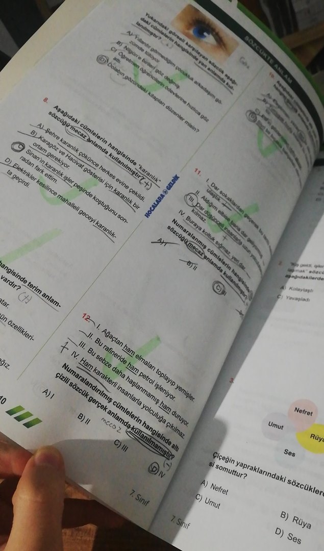 7.sınıf Soru bankası - Görsel 5