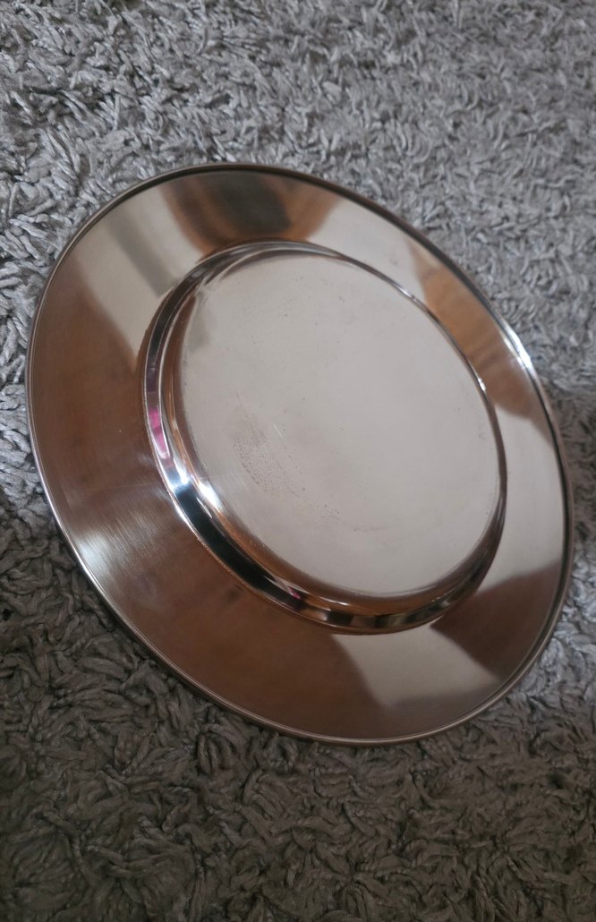 Parlak Modern Gümüş Renkli Tepsi - Görsel 3