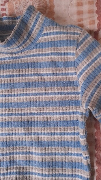 Diğer Crop Body