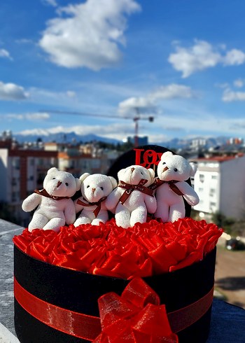 Kalp Kutuda Kırmızı Güller ve Oyuncak Ayıcıklar - Görsel 2