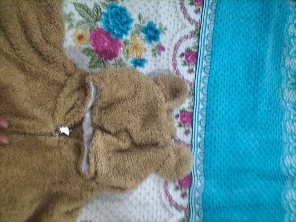 Kahverengi Peluş Bebek Tulumu - Görsel 4