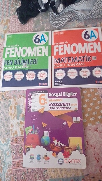 6.sinif fenomen kitapları