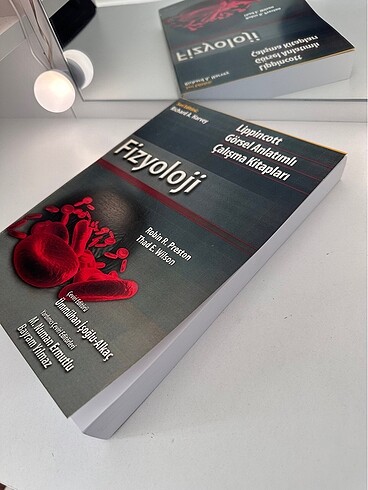  Beden Renk Fizyoloji