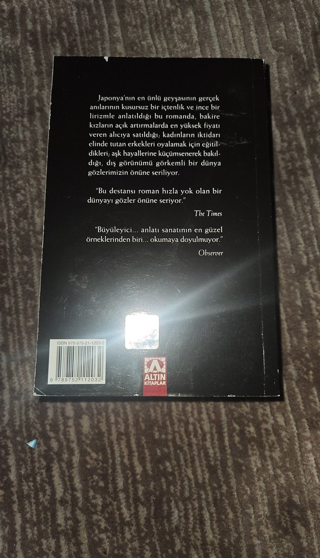 Bir Geyşanın Anıları - Arthur Golden - Görsel 2