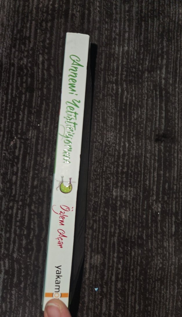 Annemİ Yetiştiriyorum - Özlem Olçar - Görsel 3