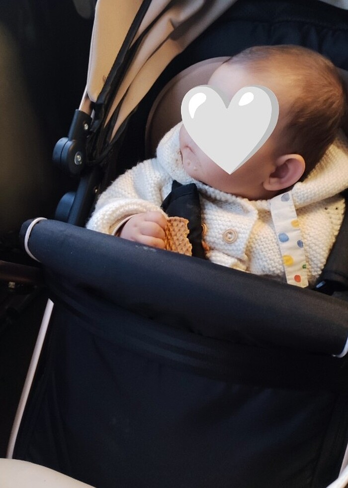 Bebek Arabası (SATILDI) - Görsel 2