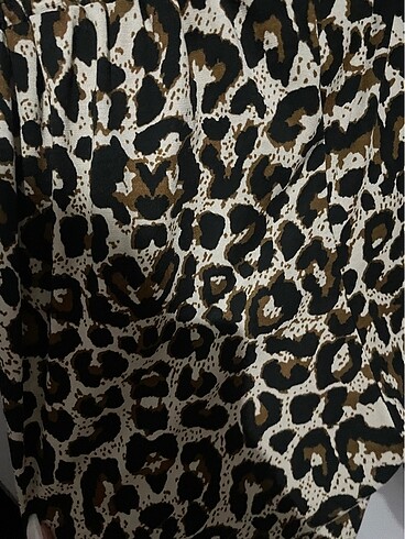 l Beden Havuç leopar