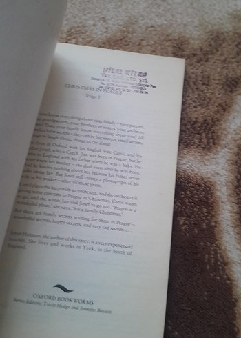 Christmas in Prague - Joyce Hannam - Görsel 2