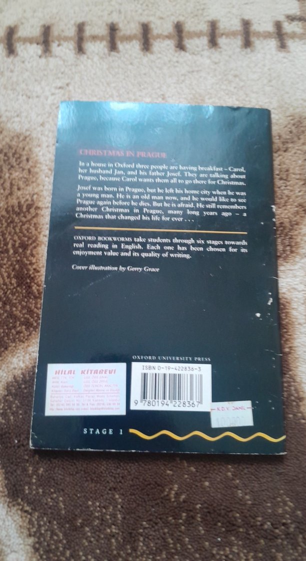 Christmas in Prague - Joyce Hannam - Görsel 4