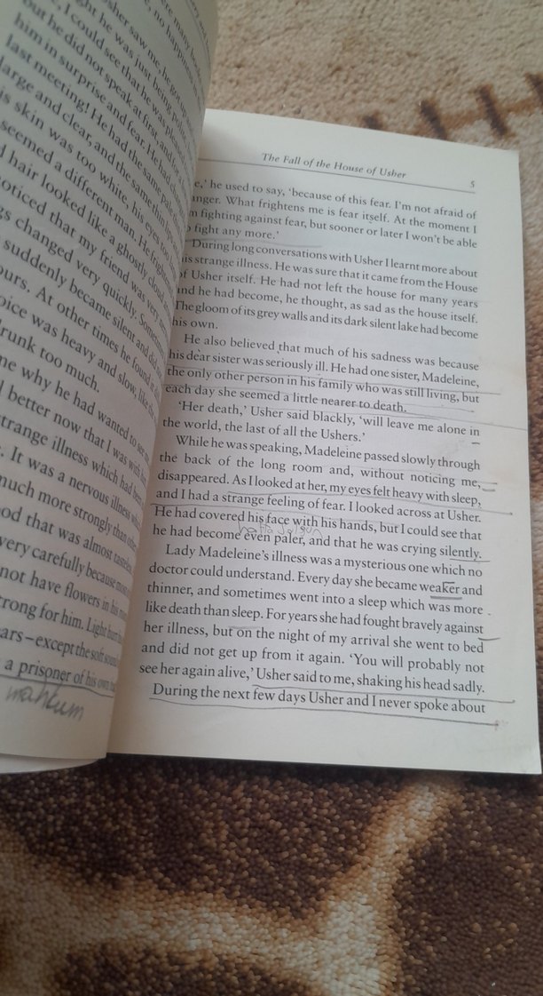 Tales of Mystery and Imagination - Edgar Allan Poe - Görsel 5