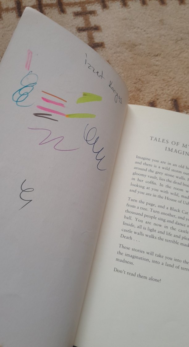 Tales of Mystery and Imagination - Edgar Allan Poe - Görsel 2