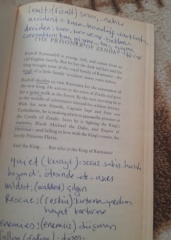 The Prisoner of Zenda - Anthony Hope - Görsel 2