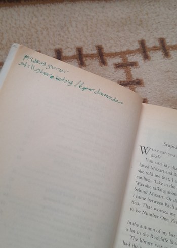 Love Story - Erich Segal - Görsel 3