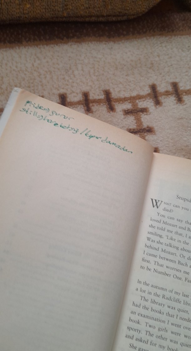 Love Story - Erich Segal - Görsel 3