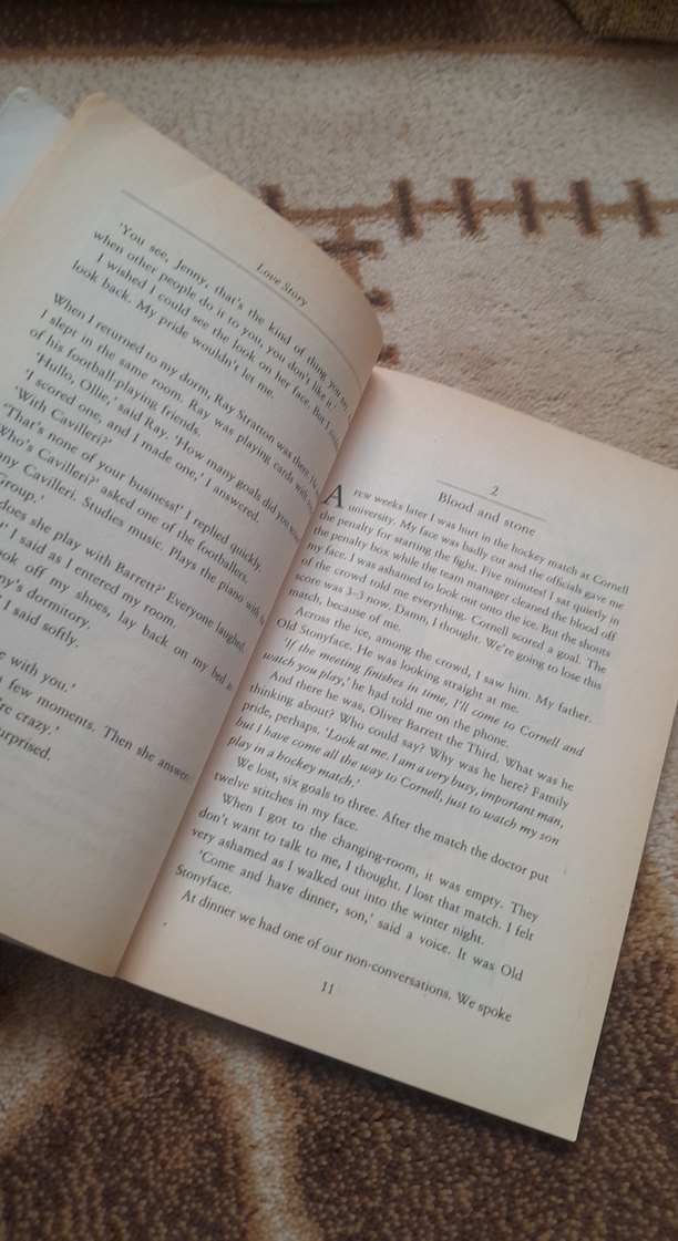 Love Story - Erich Segal - Görsel 4