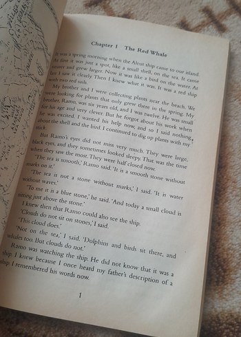 Island of the Blue Dolphins - Scott O'Dell - Görsel 3