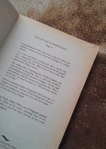 Tess of the d'Urbervilles - Thomas Hardy - Görsel 2