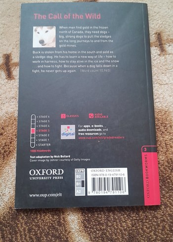 The Call of the Wild - Jack London - Görsel 7