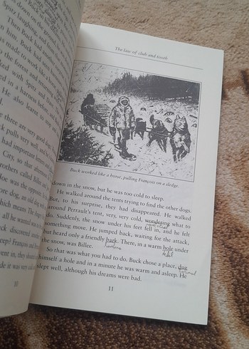 The Call of the Wild - Jack London - Görsel 6