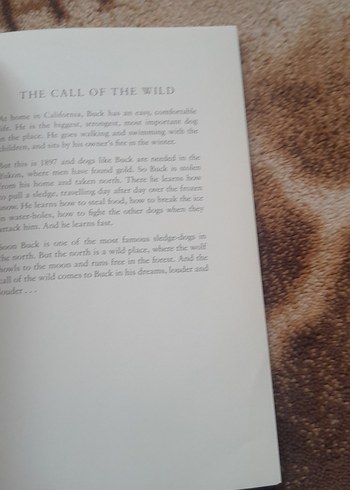 The Call of the Wild - Jack London - Görsel 2