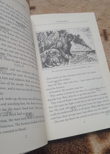 The Call of the Wild - Jack London - Görsel 4