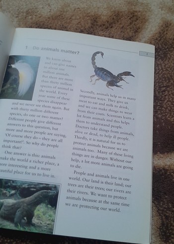 Animals in Danger - Joc Potter and Andy Hopkins - Görsel 3