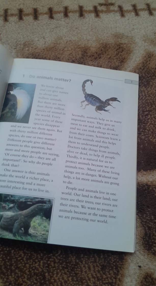 Animals in Danger - Joc Potter and Andy Hopkins - Görsel 3